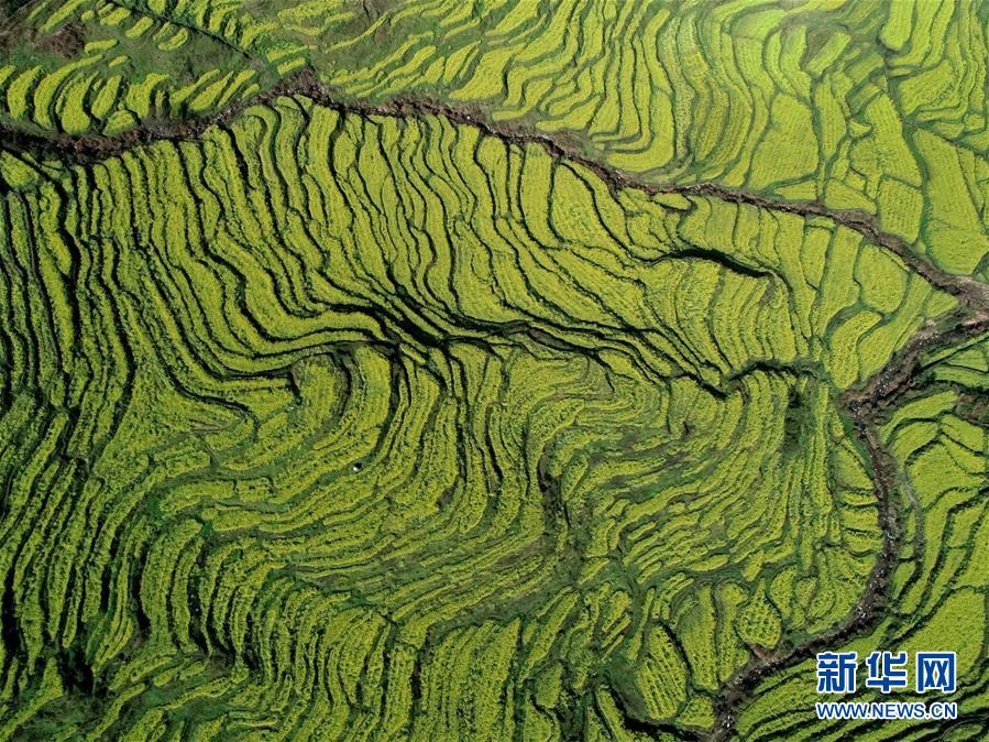 （空中瞰祖国）（13）春满大地