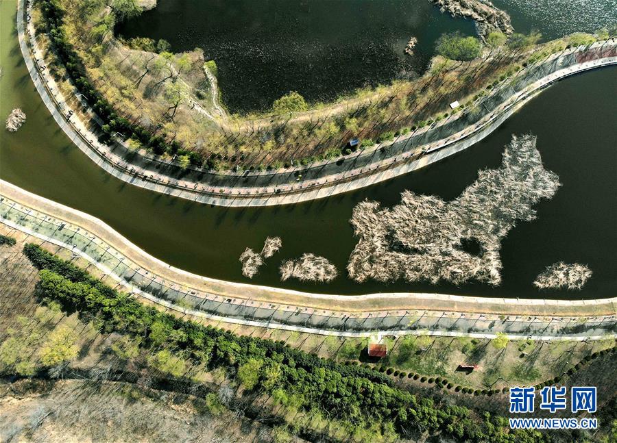 （空中瞰祖国）（14）春满大地