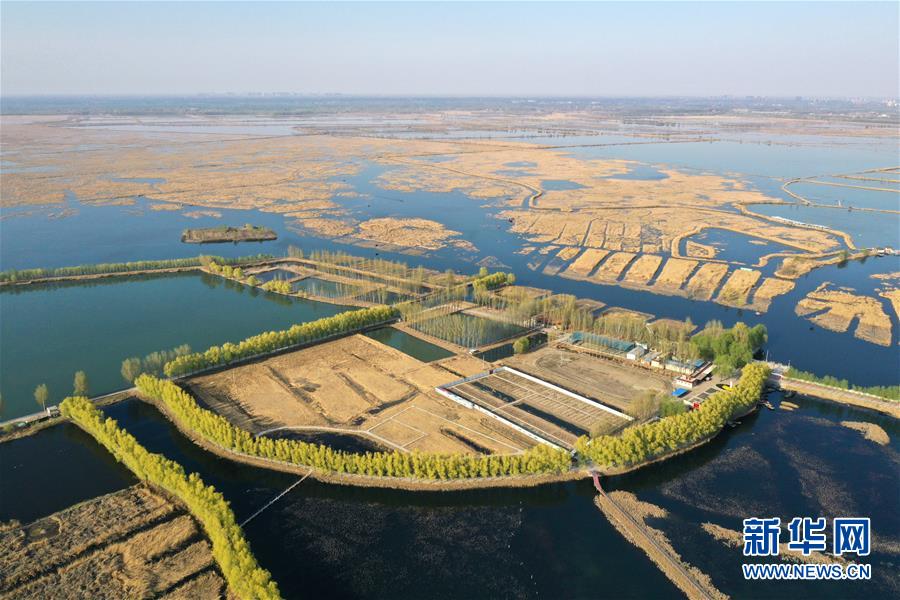 （空中瞰祖国）（15）春满大地