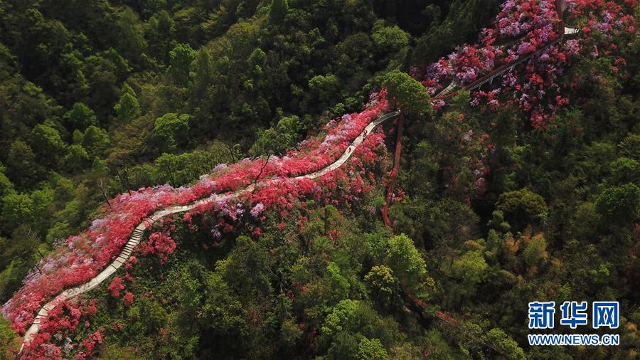 （空中瞰祖国）（19）春满大地