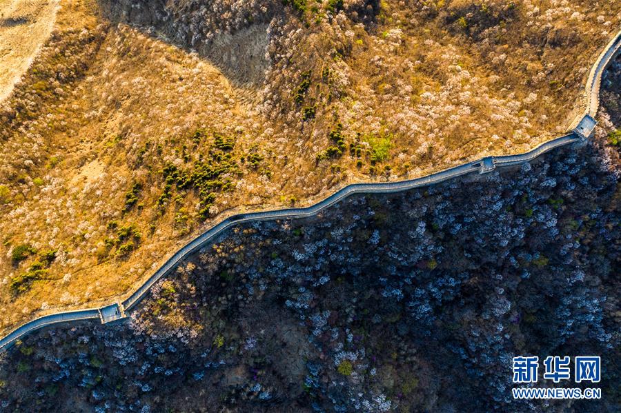 （空中瞰祖国）（20）春满大地