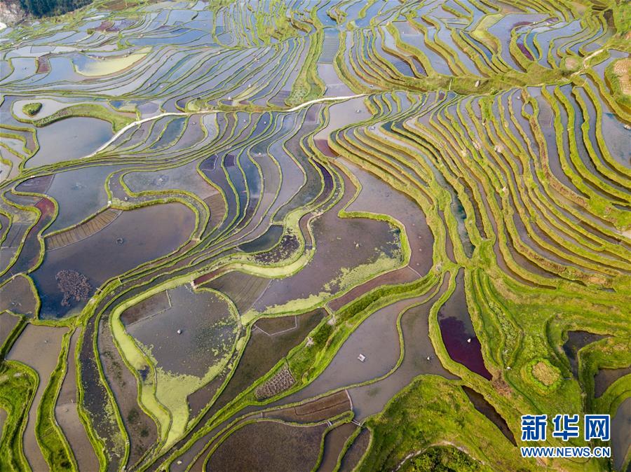 #（空中瞰祖国）（27）春满大地