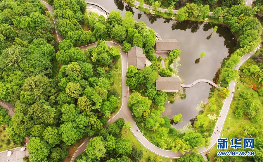 （春季美丽生态）（3）重庆璧山：春意盎然美如画