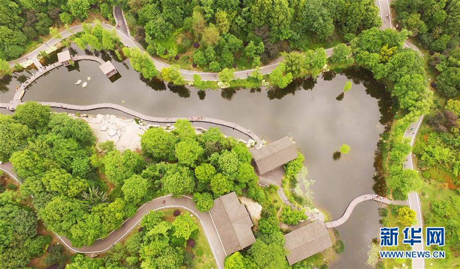 （春季美丽生态）（7）重庆璧山：春意盎然美如画