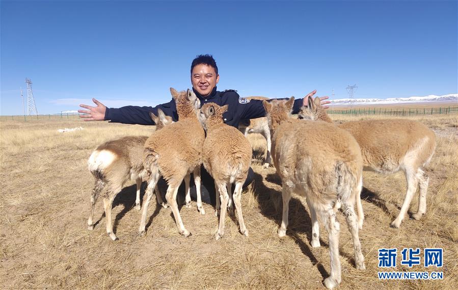 (爱国情 奋斗者)(1)藏族巡山队员龙周才加:把青春留在可可西里