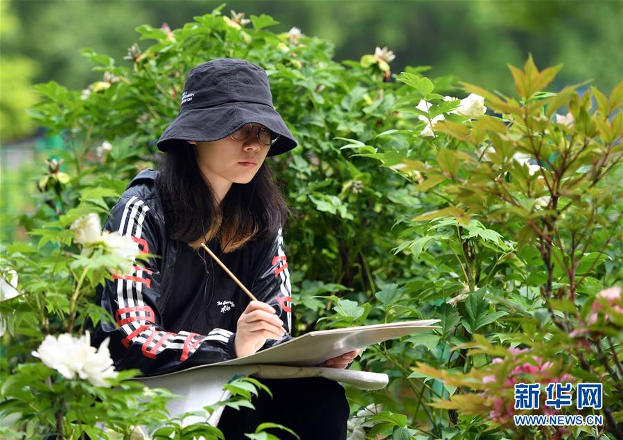 中国牡丹花都 洛阳 擦亮 花名片 催生 花经济 新华网