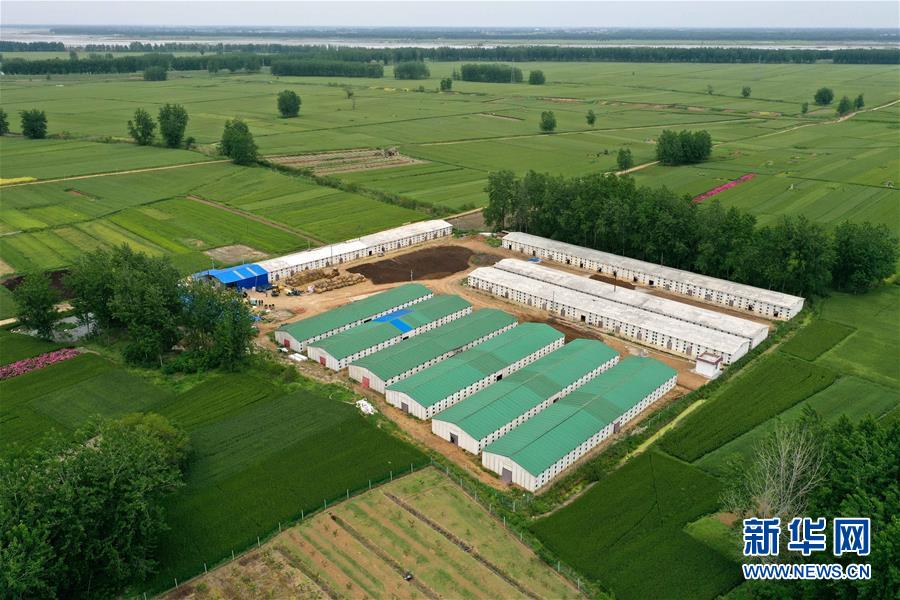 （图片故事）（2）&ldquo;蘑菇&rdquo;夫妻：脱贫之后奔致富