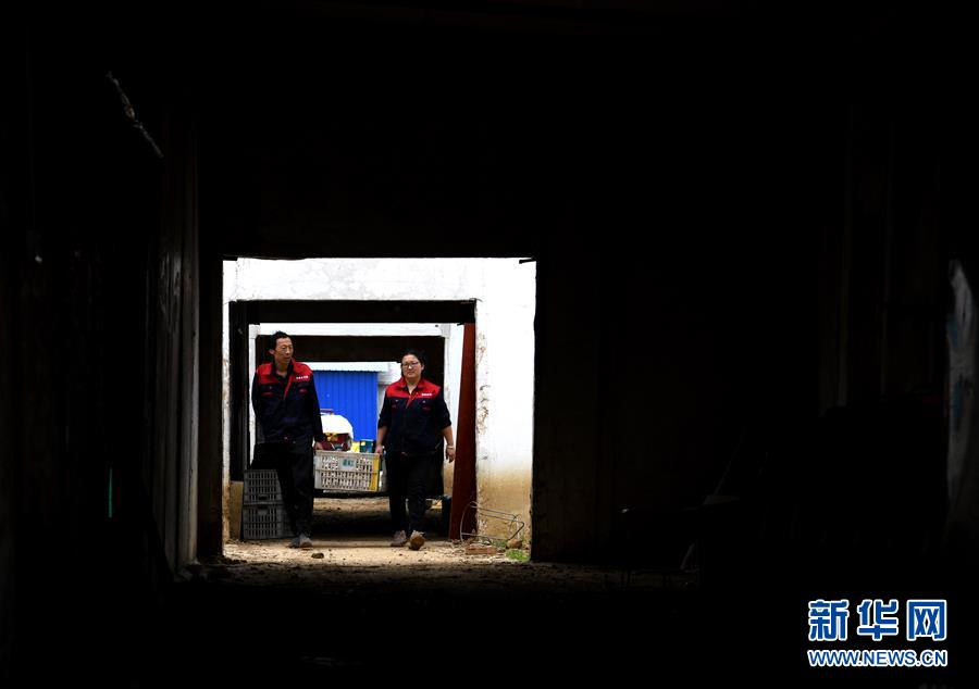 （图片故事）（4）&ldquo;蘑菇&rdquo;夫妻：脱贫之后奔致富