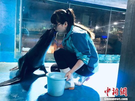 于雅丽与海狮亲密瞬间。 艾庆龙 摄 于雅丽与海狮亲密瞬间。 艾庆龙 摄