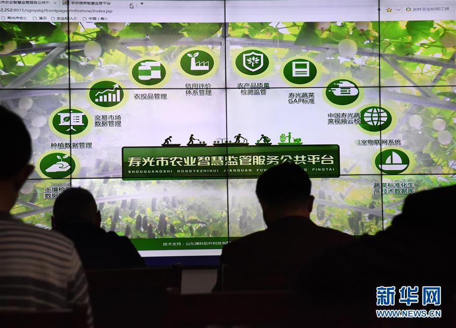 (壮丽70年·奋斗新时代·图文互动)(4)山东寿光:一棵“菜”兴一座城