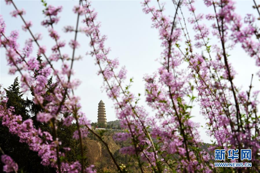 （社会）（3）延安：黄土高原上的红色旅游名片