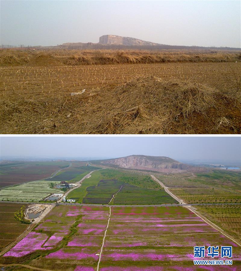 （环境）（2）山东安丘：废弃采石坑生态修复变美景