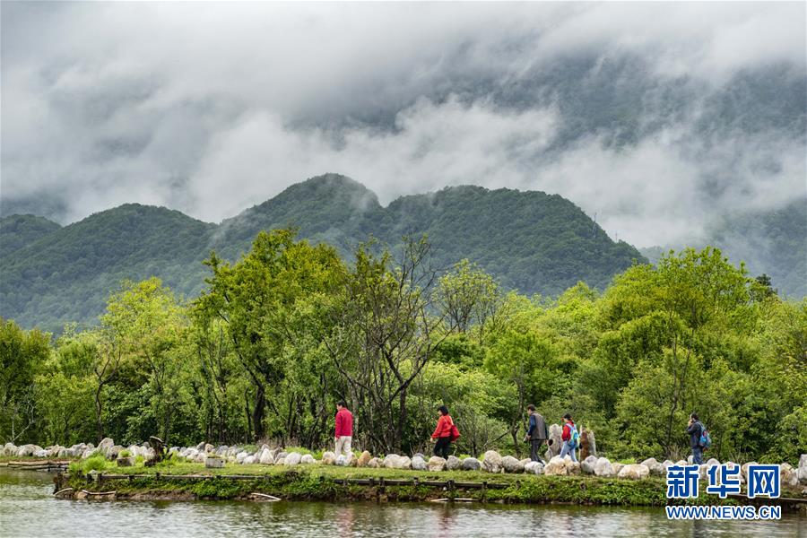 (壮丽70年·奋斗新时代·图文互动)(6)从开山伐木到全面保护——神农架国家公园的生态协奏曲