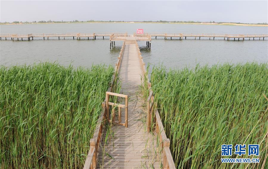 （北京世园会·图文互动）（5）“百湖之乡”磴口县再现生态田园风光