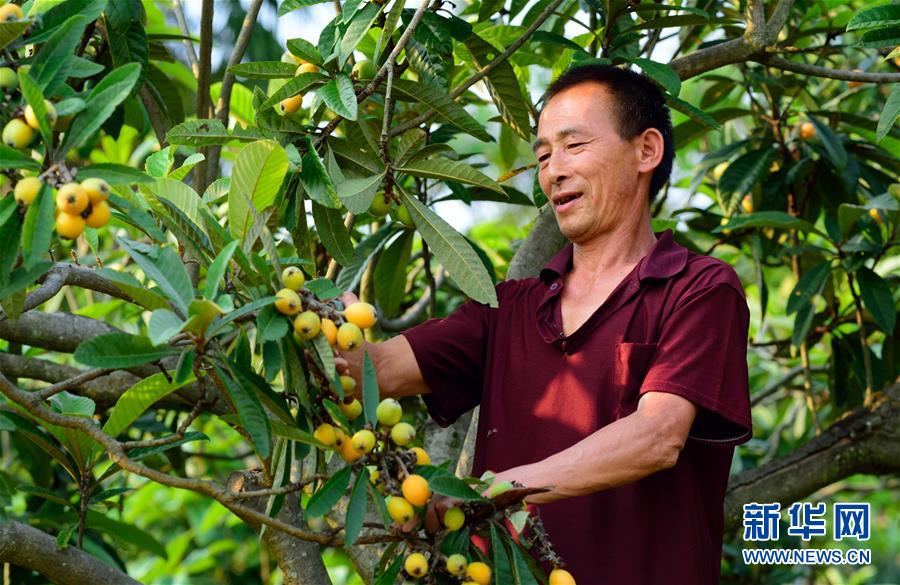 (壮丽70年·奋斗新时代·图文互动)(3)当年留下“半条被子” 今天再创好日子——湖南省汝城县沙洲村蹲点见闻