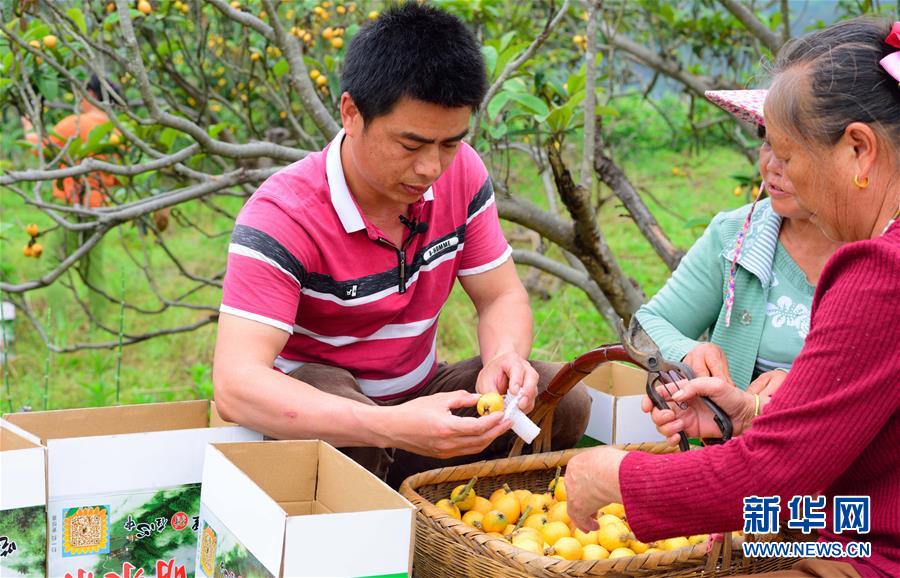 (壮丽70年·奋斗新时代·图文互动)(4)当年留下“半条被子” 今天再创好日子——湖南省汝城县沙洲村蹲点见闻