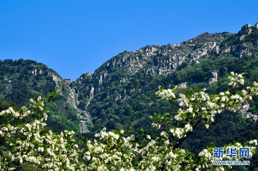 （美丽中国）（1）东岳泰山美如画