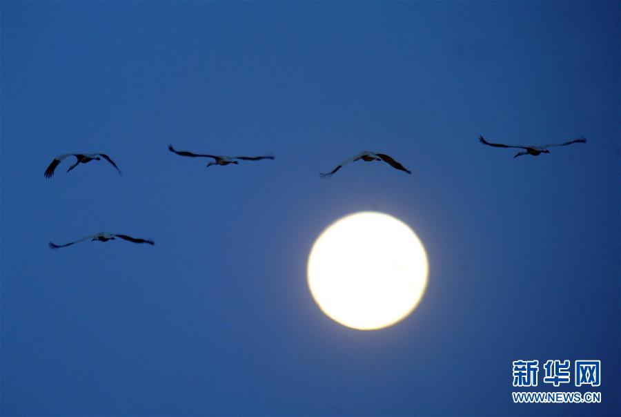 (北京世园会·图文互动)(1)吉林分区域推进生态保护 让绿色发展底气更足