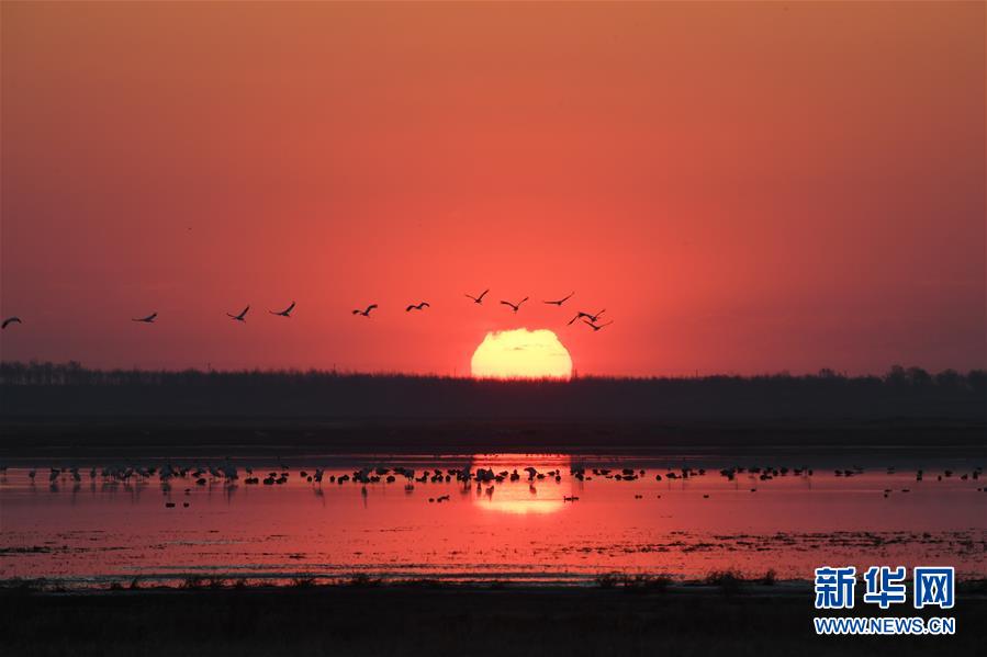 (北京世园会·图文互动)(3)吉林分区域推进生态保护 让绿色发展底气更足