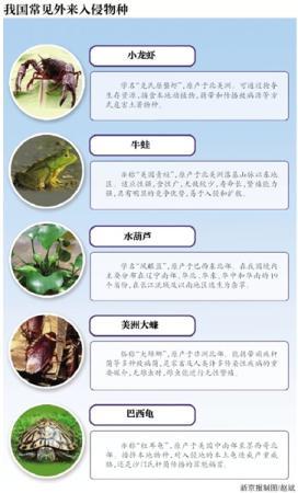 “吃”不能解决问题 小龙虾上榜云南入侵物种名录