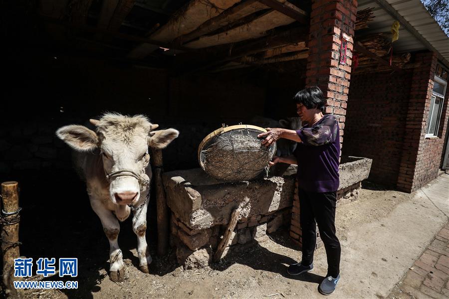 (图文互动)(2)一条38年的生命通道:妈妈会一直把你当作“雏鸟”