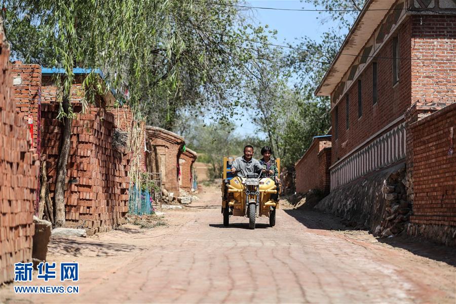 (图文互动)(3)一条38年的生命通道:妈妈会一直把你当作“雏鸟”