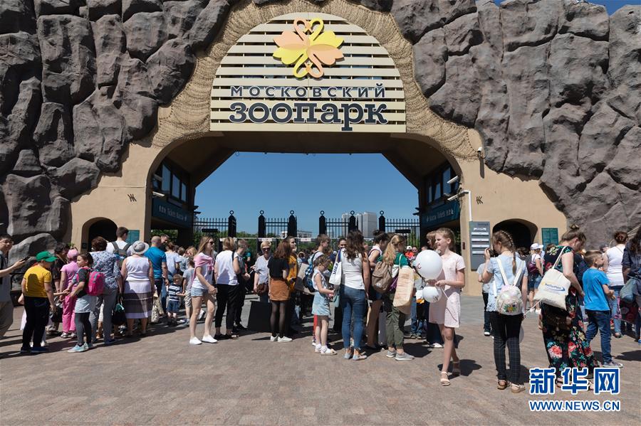 (习近平出访配合稿·图文互动)(1)通讯:“友谊使者”中国大熊猫入住莫斯科新家