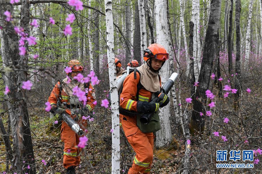 (壮丽70年·奋斗新时代·图文互动)(3)林海孤岛唱响冰与火之歌——记内蒙古森林消防总队大兴安岭支队奇乾中队