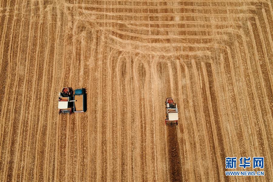 #（经济）（1）夏日农忙