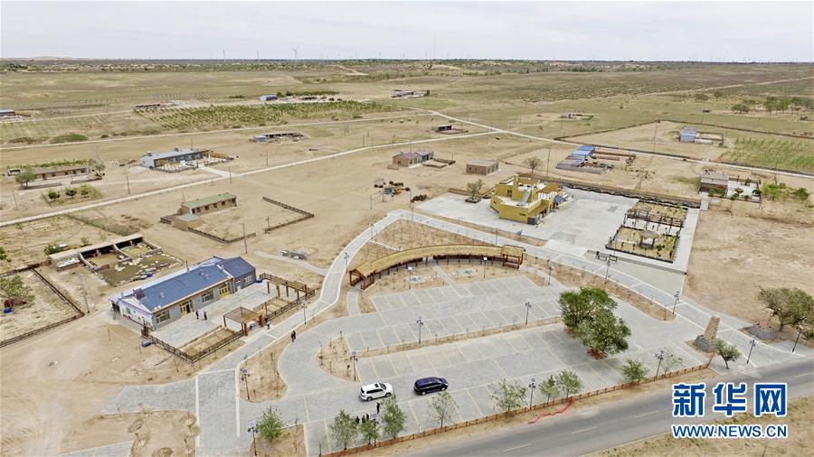 （壮丽70年·奋斗新时代）（3）沙漠再无盐池黄——宁夏首个脱贫摘帽县见闻