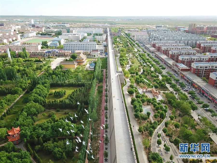 （壮丽70年·奋斗新时代）（10）沙漠再无盐池黄——宁夏首个脱贫摘帽县见闻