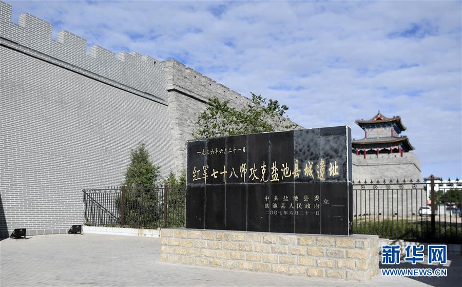 （壮丽70年·奋斗新时代）（13）沙漠再无盐池黄——宁夏首个脱贫摘帽县见闻