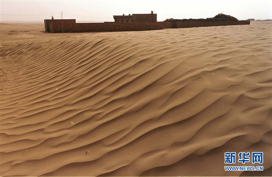 （壮丽70年·奋斗新时代）（14）沙漠再无盐池黄——宁夏首个脱贫摘帽县见闻