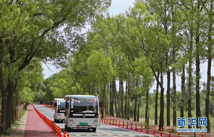 （壮丽70年·奋斗新时代）（21）沙漠再无盐池黄——宁夏首个脱贫摘帽县见闻