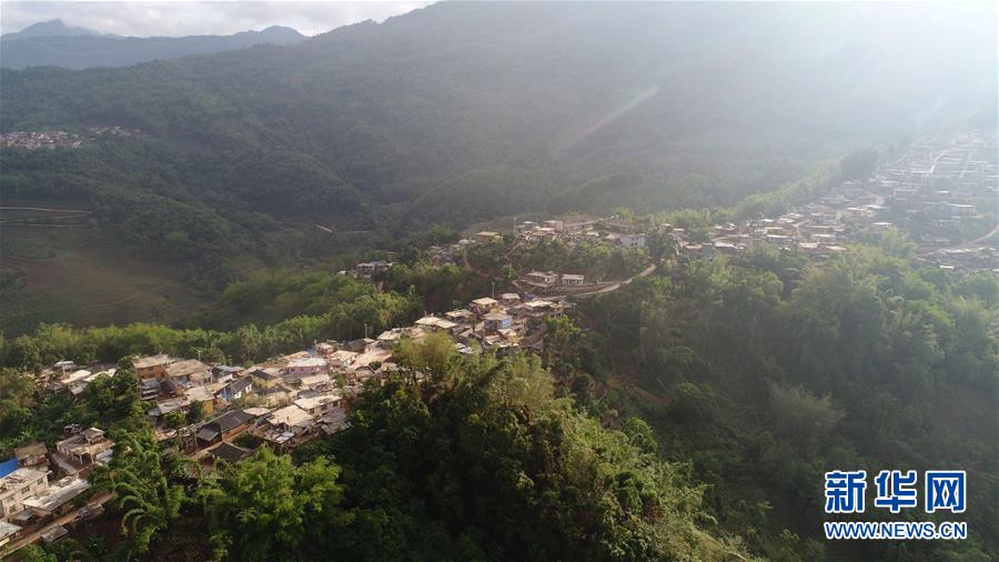 (直过民族脱贫攻坚·图文互动)(1)又见白鹇鸟