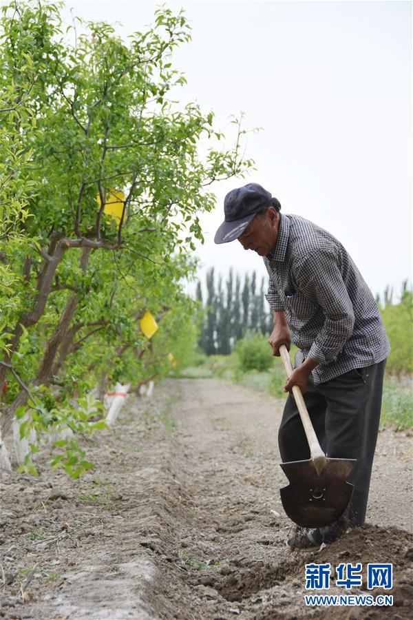 (图文互动)(1)吐木尔家最后一个农民