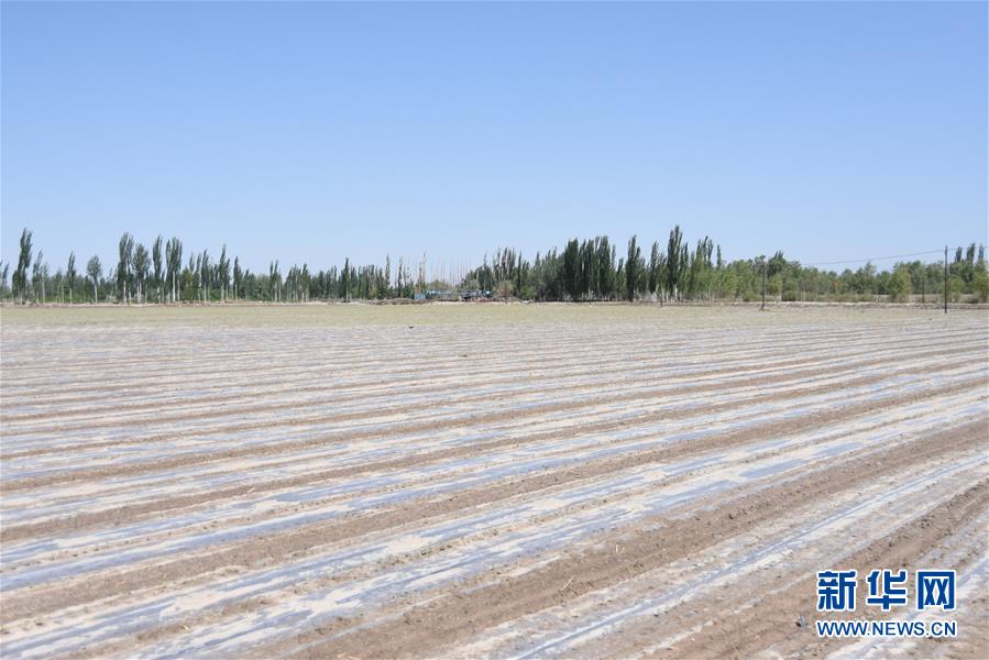 (图文互动)(3)吐木尔家最后一个农民