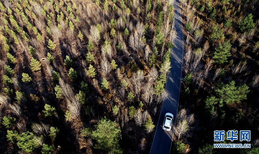 (壮丽70年·奋斗新时代·图文互动)(12)毛乌素治理:众志缚流沙 塞外展新颜
