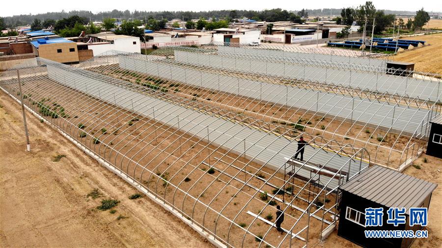 （新华全媒头条&middot;图文互动）（2）一个传统农业县的脱贫之路&mdash;&mdash;来自河北新河的调查报告