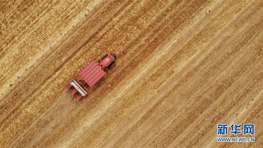 （新华全媒头条&middot;图文互动）（7）一个传统农业县的脱贫之路&mdash;&mdash;来自河北新河的调查报告