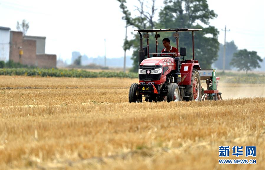 （新华全媒头条&middot;图文互动）（8）一个传统农业县的脱贫之路&mdash;&mdash;来自河北新河的调查报告