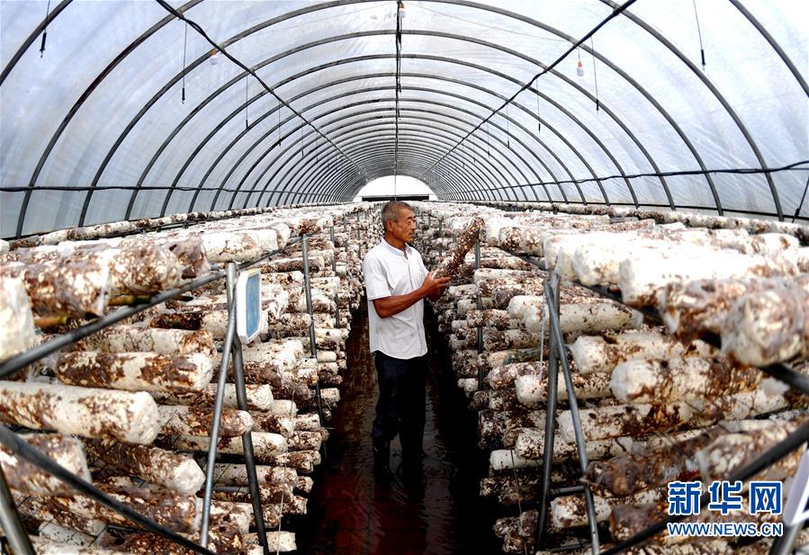 （新华全媒头条&middot;图文互动）（10）一个传统农业县的脱贫之路&mdash;&mdash;来自河北新河的调查报告