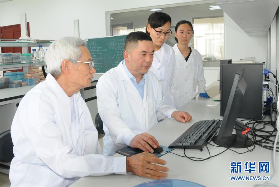 (爱国情 奋斗者·图片互动)(1)张永平:像打造“中国芯”一样打造“中国葵”