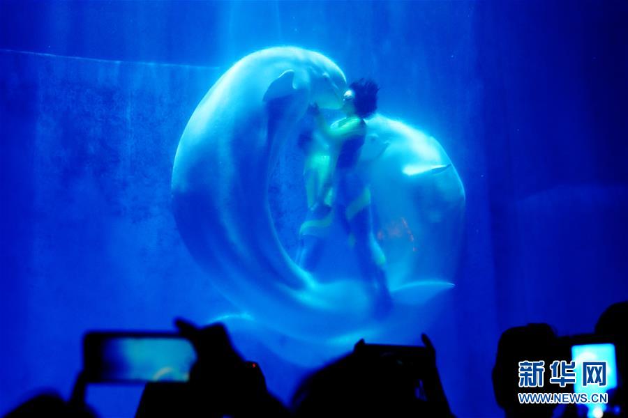 （镜观中国&middot;新华社国内新闻照片一周精选）（22）&ldquo;鲸彩&rdquo;