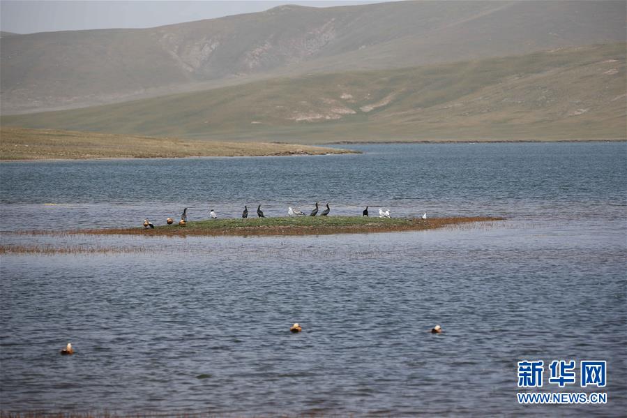 （走读黄河&middot;图文互动）（3）黄河源头水文观测记