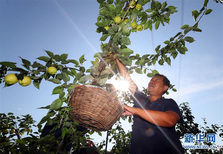 （图文互动）（2）挂职，挂了半辈子