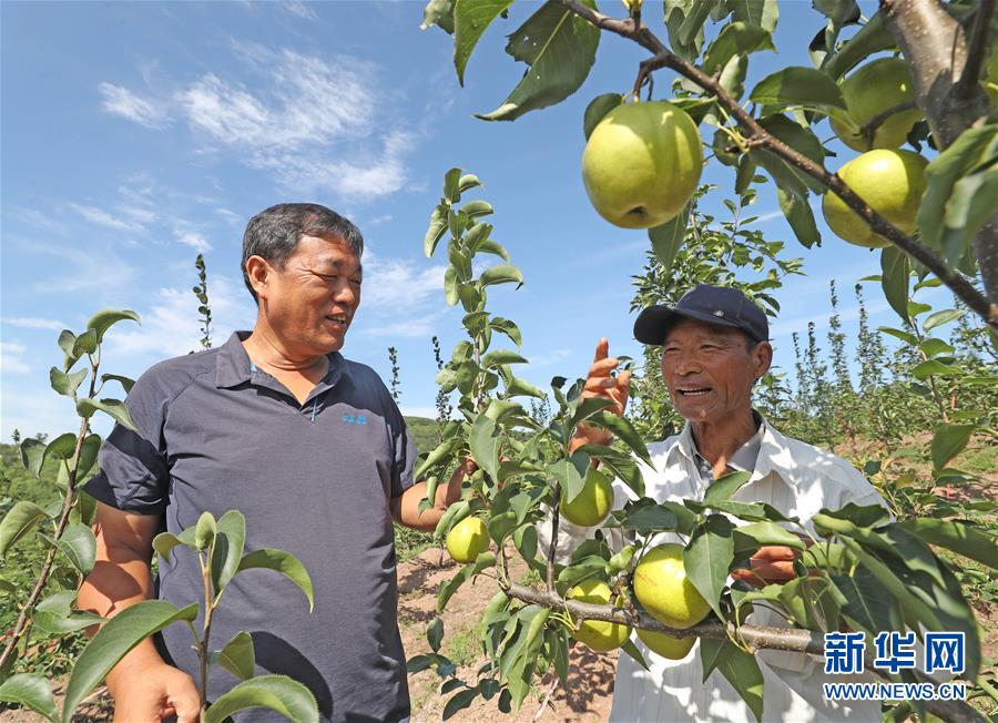 （图文互动）（3）挂职，挂了半辈子
