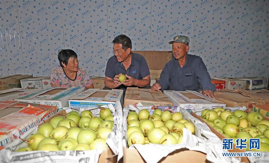 （图文互动）（4）挂职，挂了半辈子