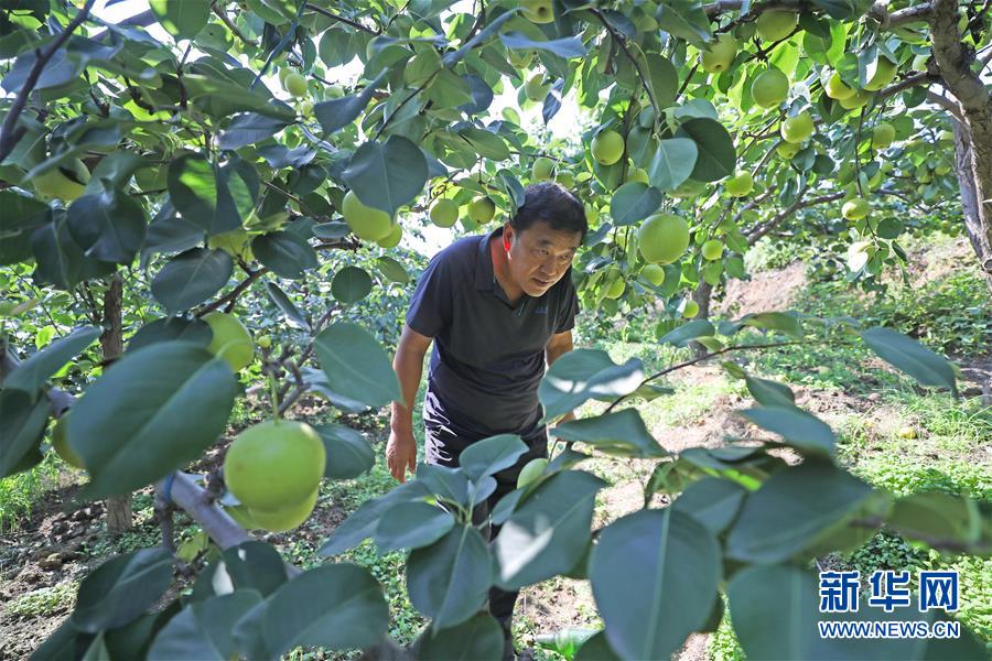 （图文互动）（5）挂职，挂了半辈子