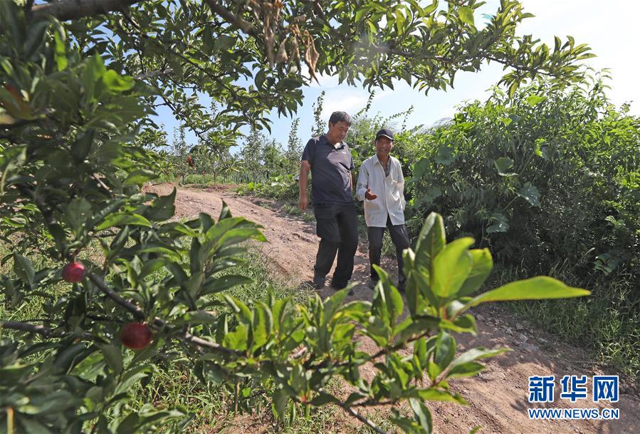 （图文互动）（1）挂职，挂了半辈子